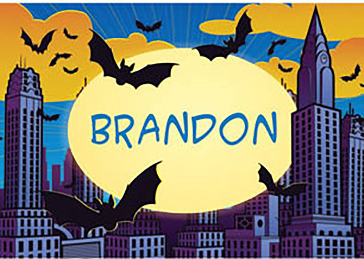 batman placemats
