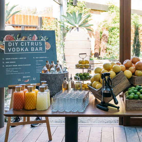 DIY citrus vodka bar