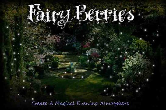 fairy berries