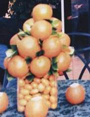 oranges centerpiece