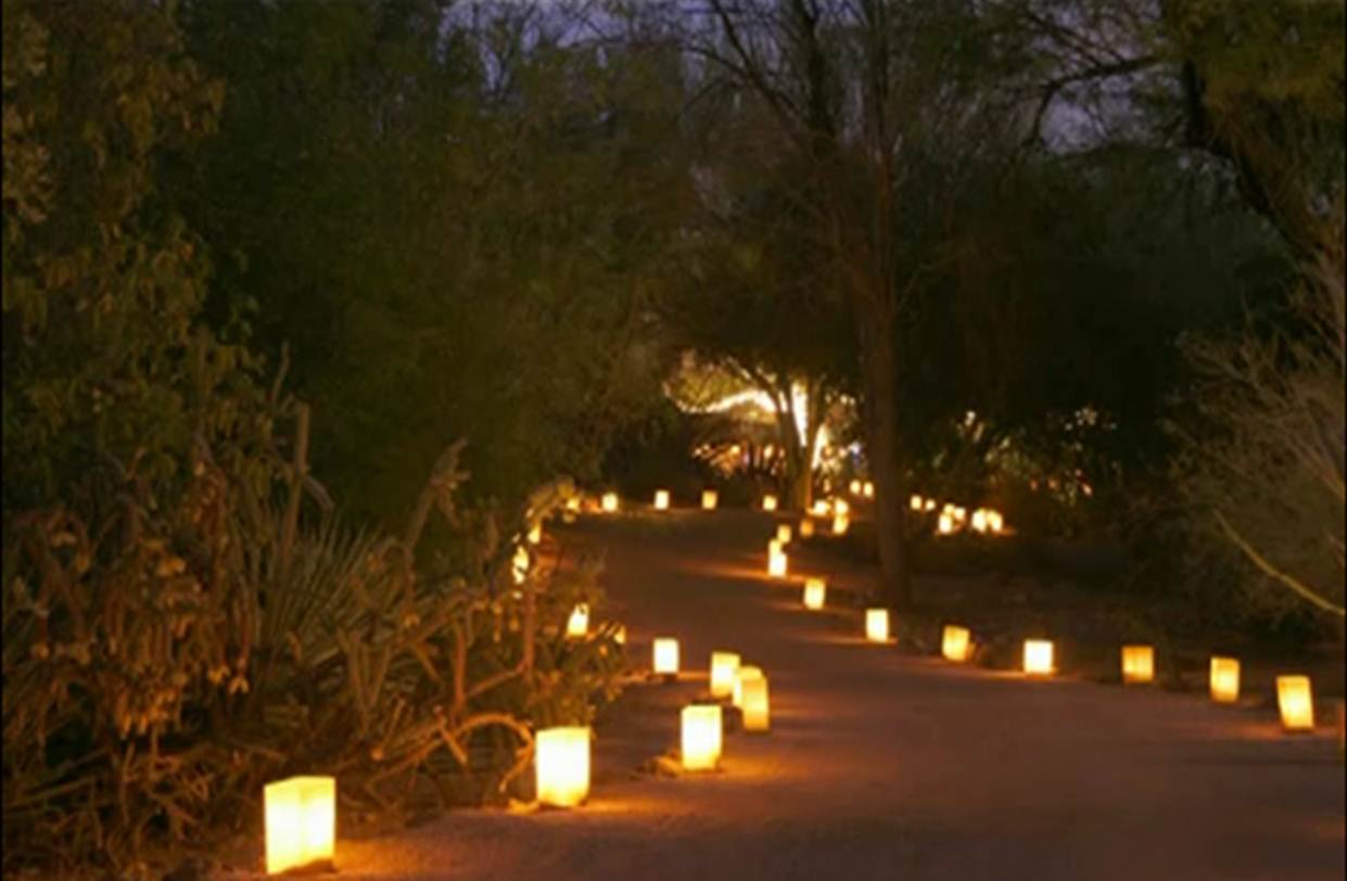 creating a garden party atmosphere using lighting - pagazzi blog