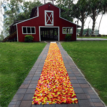 orange red and yellow petal entrance runner