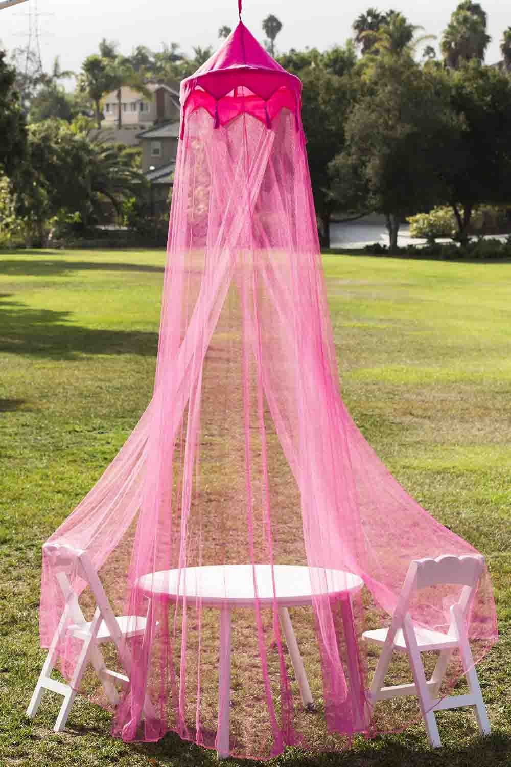 pink princess canopy