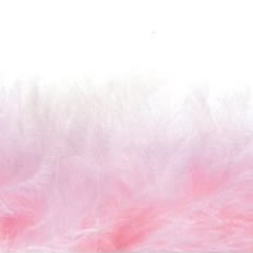 pink feather boa