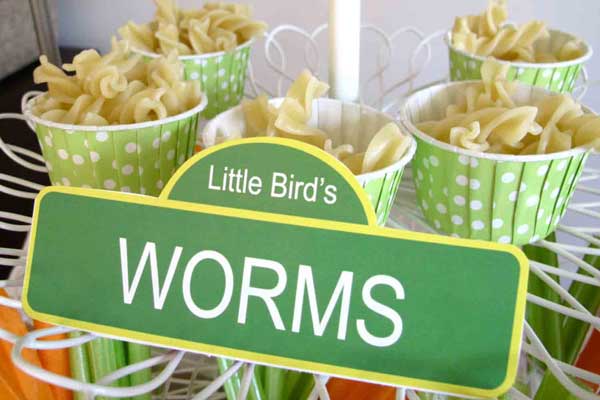 big bird's worms