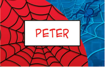 spiderman placemats