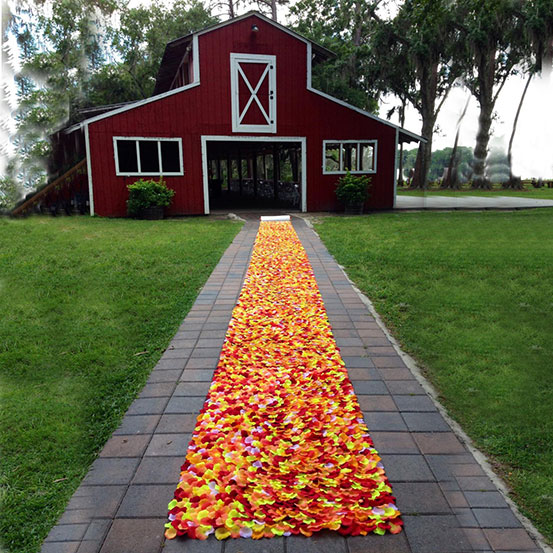 orange, red, and yellow rose petal aisle runner leading up to entrance of a red barn