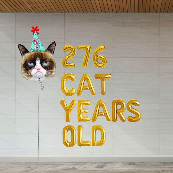 176 Cat Years Old letter balloons on wall