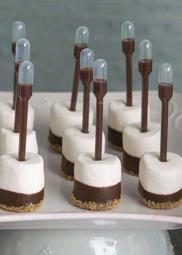 s'mores pipettes