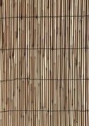 bamboo reed fencing