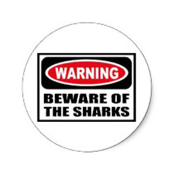 beware of shark stickers