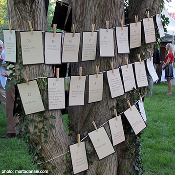 Fun Facts garland banners hung on tree at a garden party
